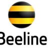 Beeline.ru Database Leaked - 8.7M User Records Exposed!